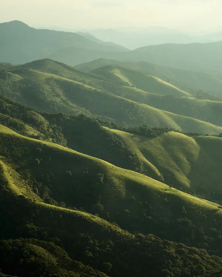 Coorg Hills