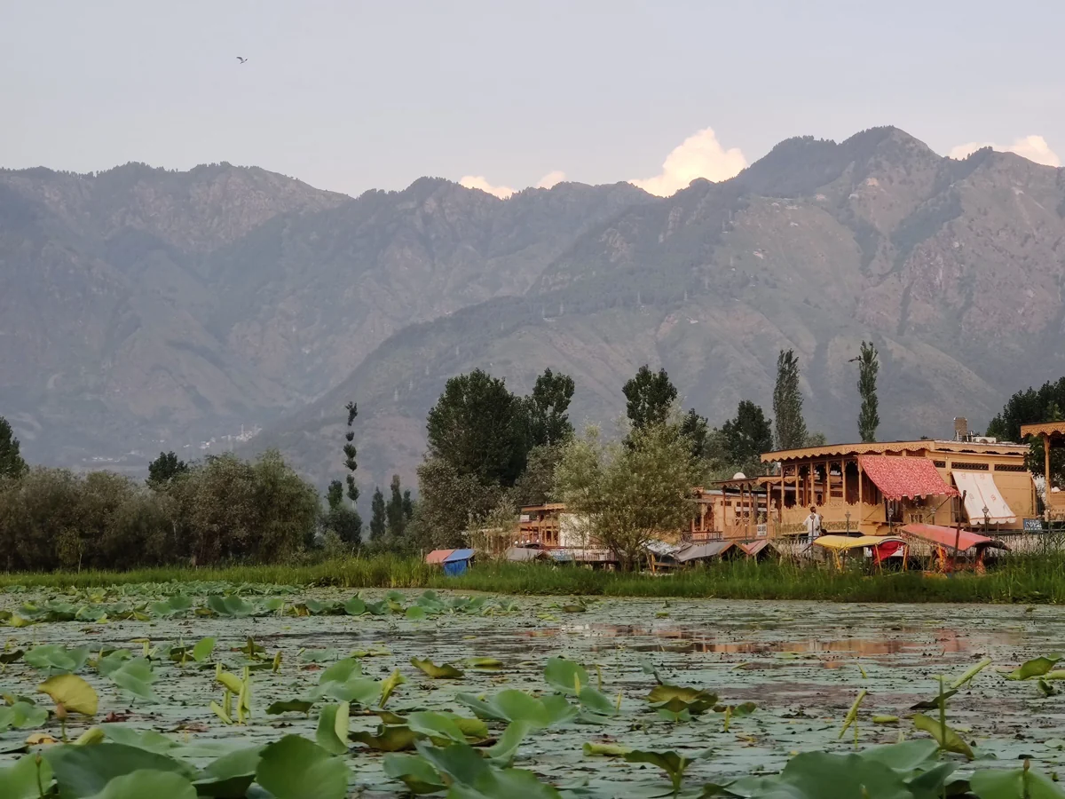 Kashmir Dal Lake Srinagar