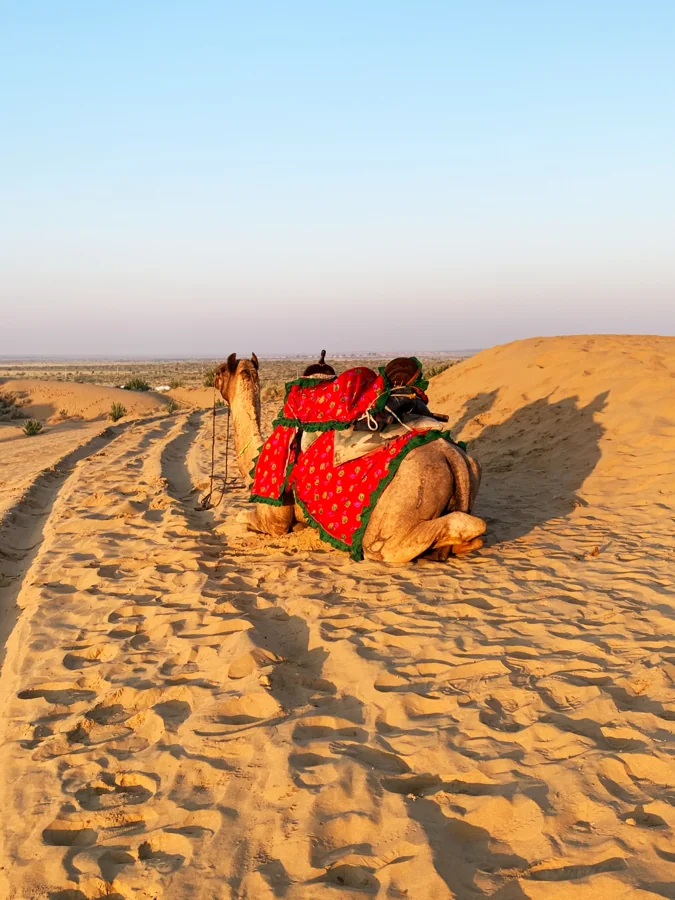 Jaisalmer Desert