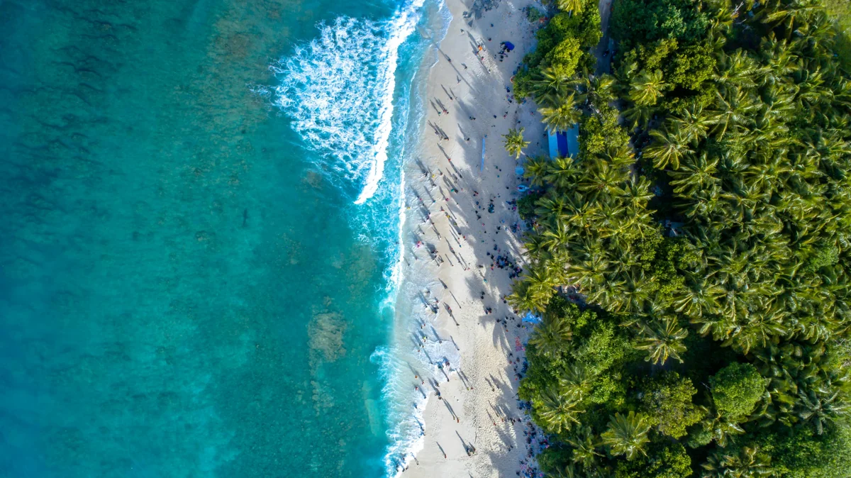Andaman Havelock Island