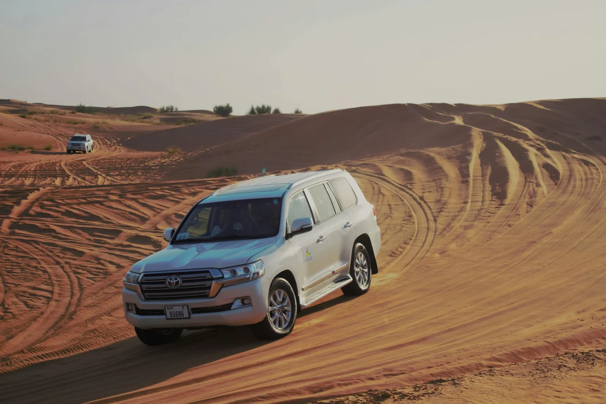 Desert Safari