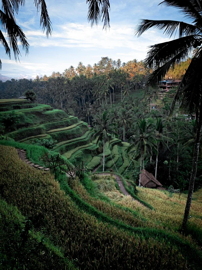 Bali Temple and Beach