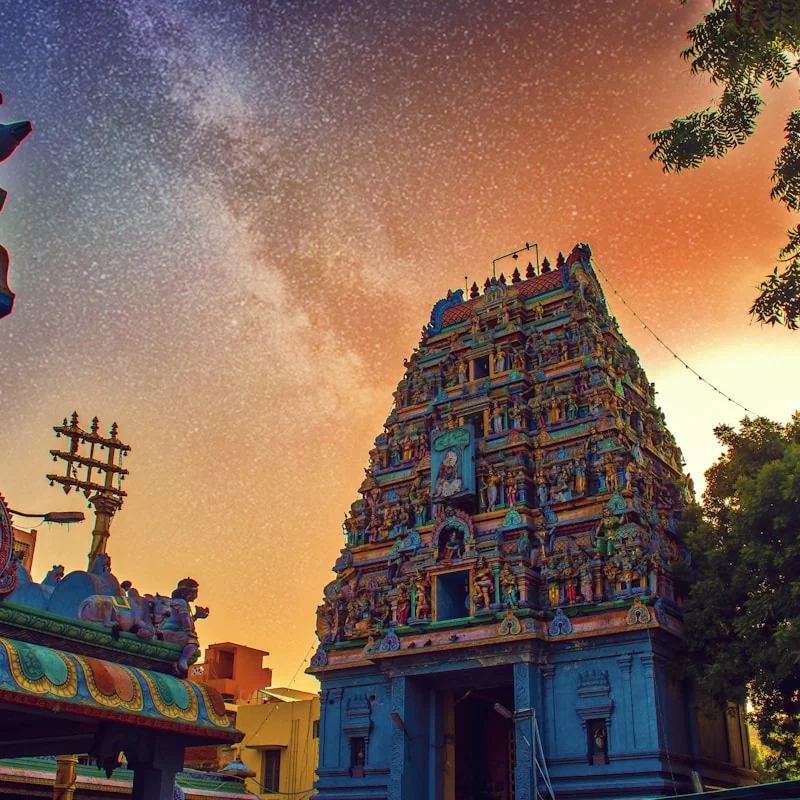 Ayodhya Ram Janmabhoomi