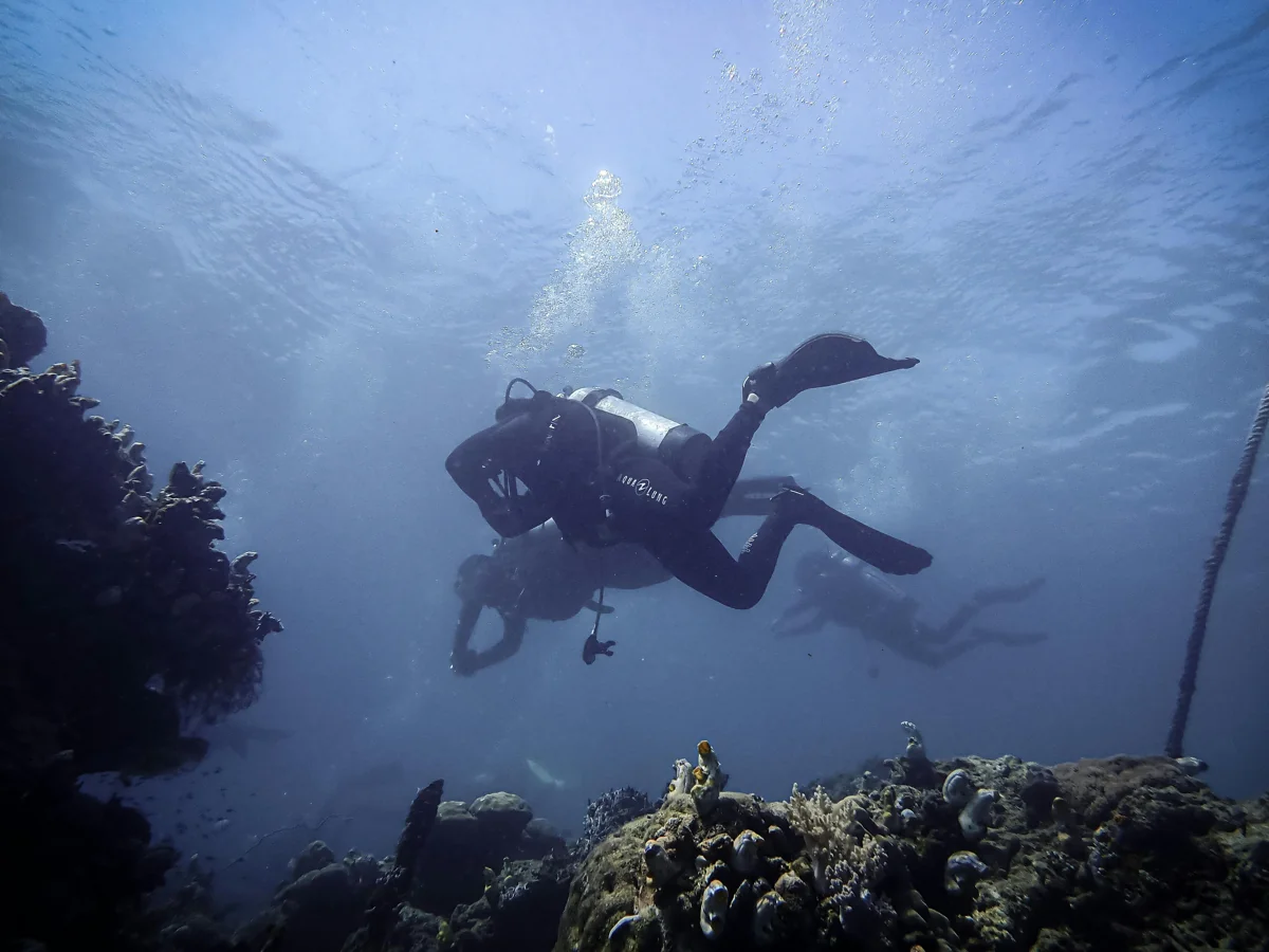 Andaman Tour