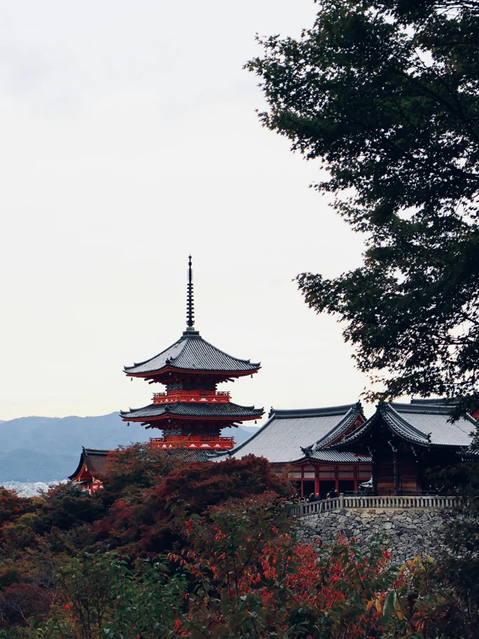 Japan Tour