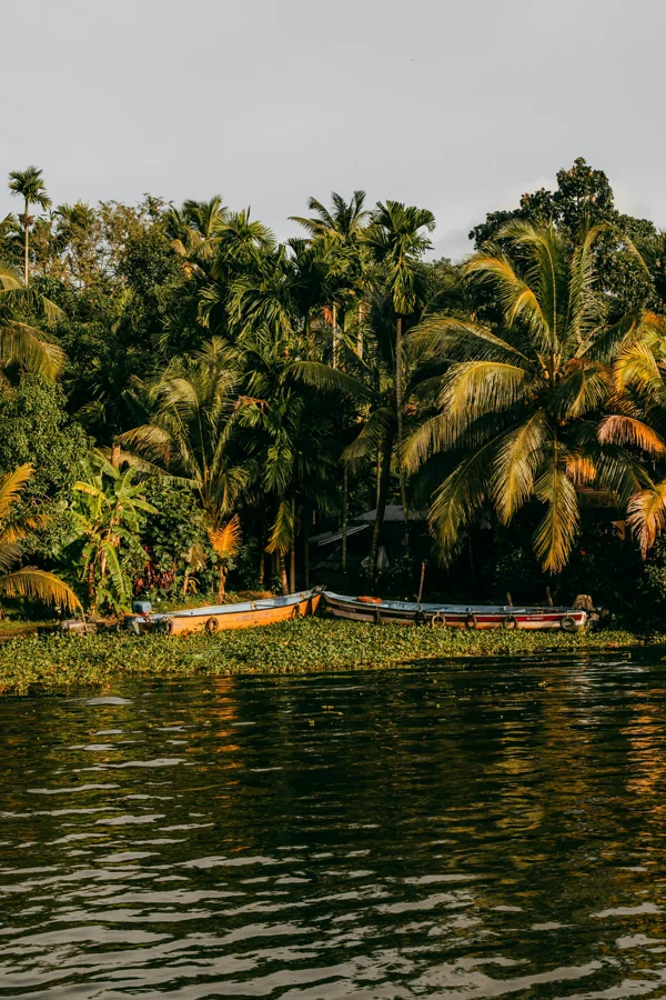 Kerala Tour