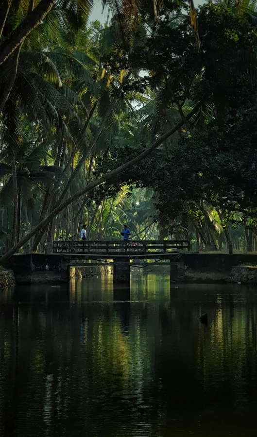 Kerala Tour