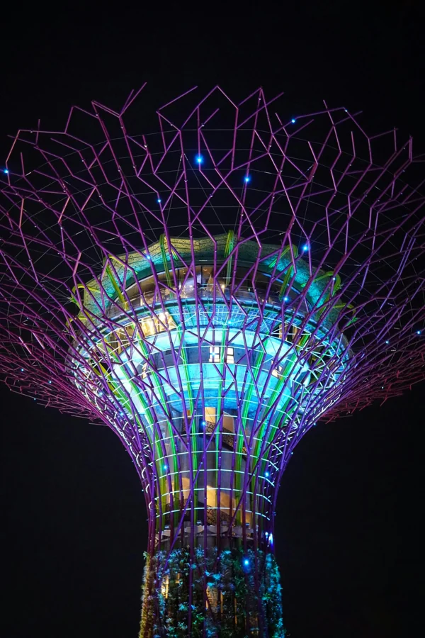 Singapore Tour
