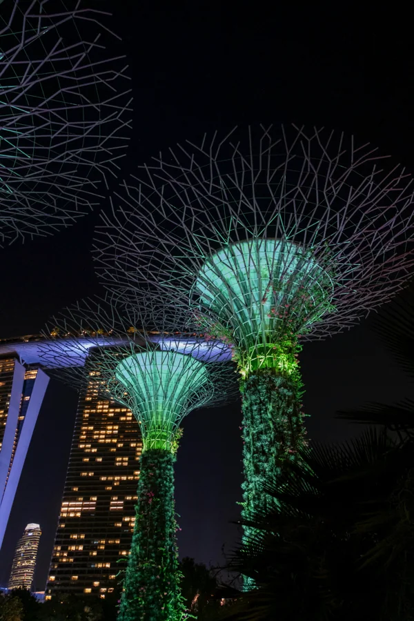 Singapore Tour
